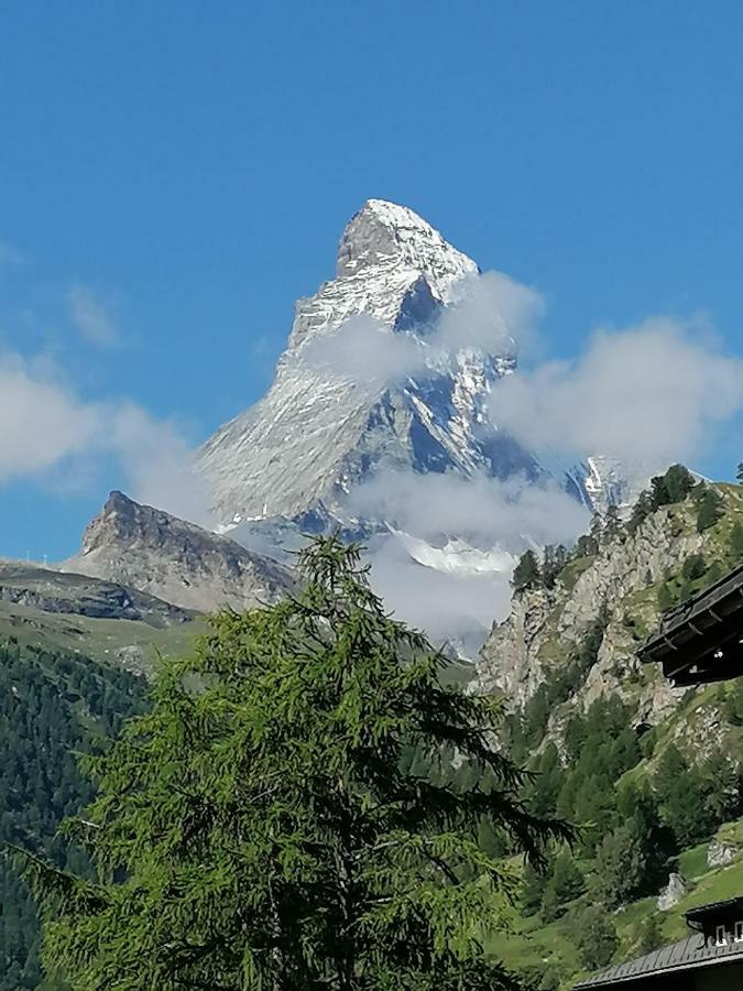 Petit Helvetia Budget Hotel Zermatt Luaran gambar